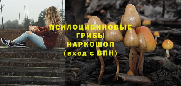 кокаин Краснослободск