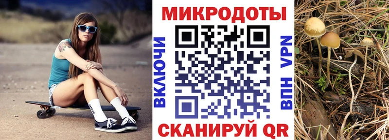 Купить  Белозерск  Псилоцибиновые грибы мицелий 