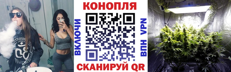 Бошки Шишки планчик  Купить закладки  Белозерск 